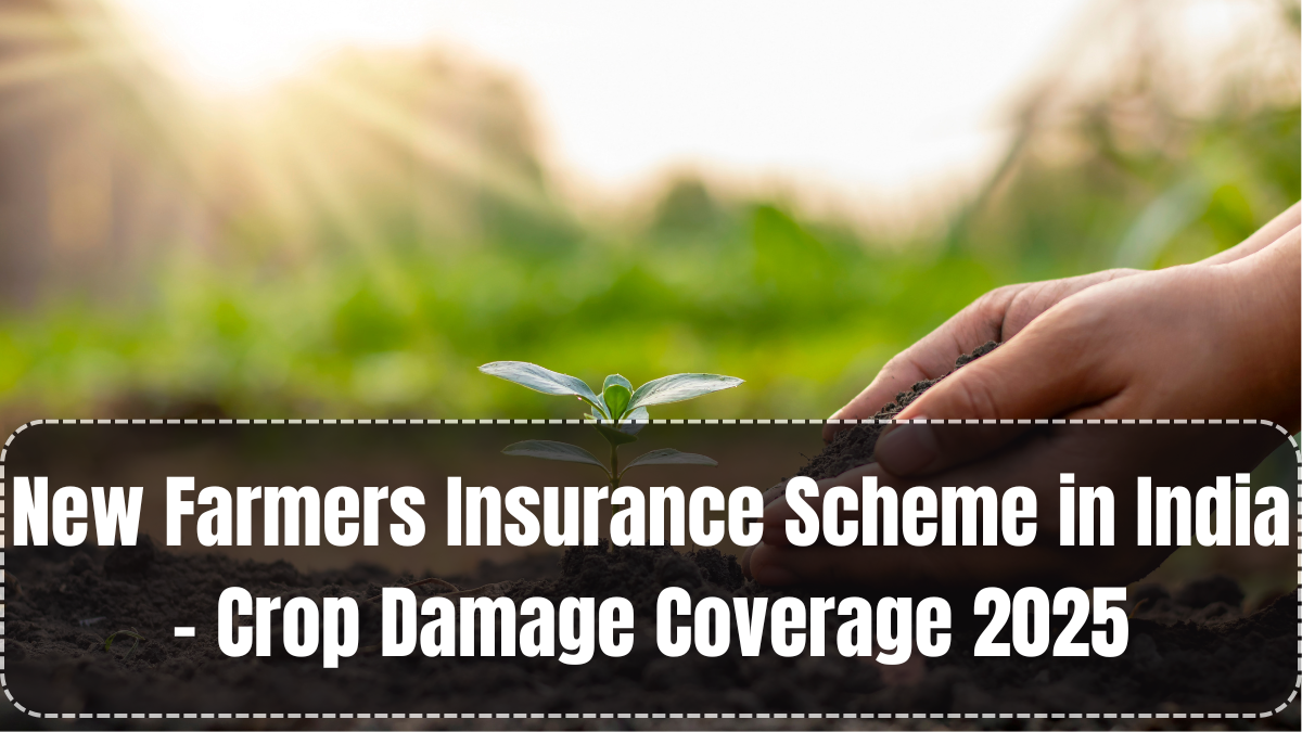 Crop Insurance Update September 2025: Relief for Rain-Ravaged Farmers (with Area-wise Impact)