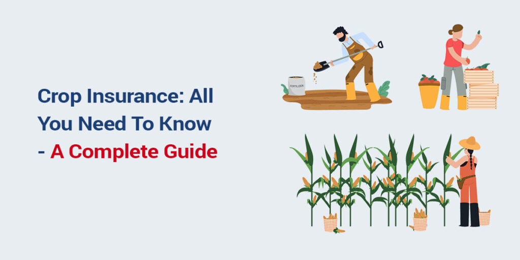 Crop Insurance Update September 2025: Relief for Rain-Ravaged Farmers (with Area-wise Impact)