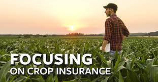 Crop Insurance Update September 2025: Relief for Rain-Ravaged Farmers (with Area-wise Impact)