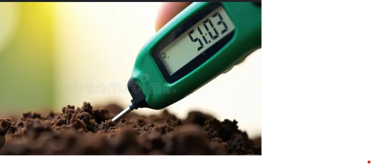 Importance of Soil Testing & How to Do It Step by Step .!