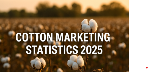 Cotton Rates in December 2025: Trends, Prices & Farmer Realities