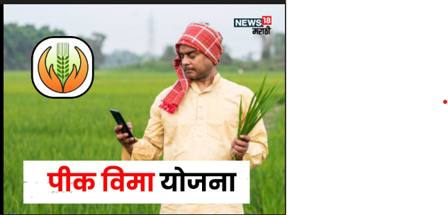 पीक विमा 2025 : शेतकऱ्यांसाठी दिलासादायक योजना की आव्हानांचा नवा टप्पा?