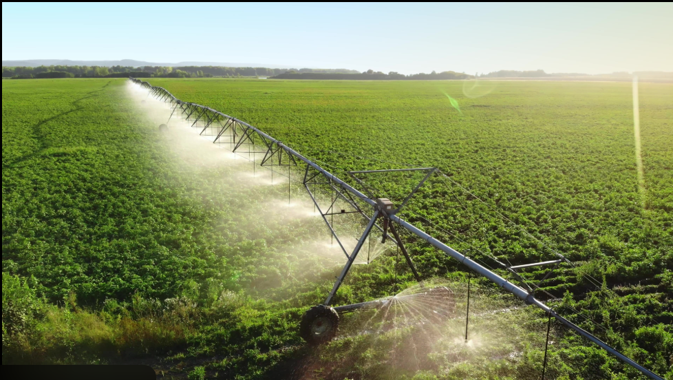 Farmers Update 2026: Latest Agriculture Trends, Government Schemes, Crop Prices & Smart Farming Guide