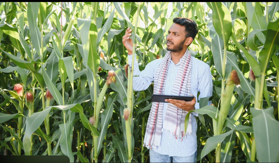 Farmers Update 2026: Latest Agriculture Trends, Government Schemes, Crop Prices & Smart Farming Guide