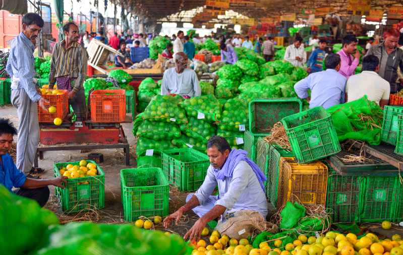 Farmers Update 2026: Latest Agriculture Trends, Government Schemes, Crop Prices & Smart Farming Guide