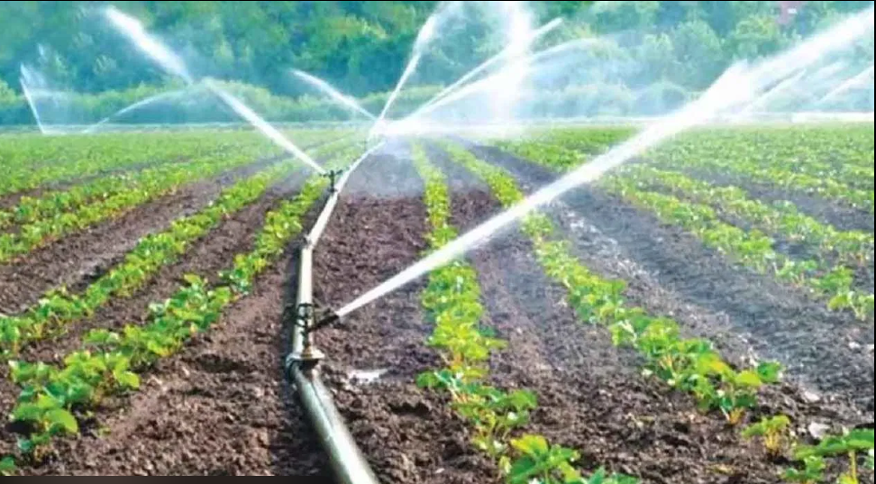 सिंचन योजना 2026 💧🌾 सिंचन आणि कृषी क्षेत्रासाठी विशेष योजनांची घोषणा – शेतकऱ्यांसाठी मोठा दिलासा!