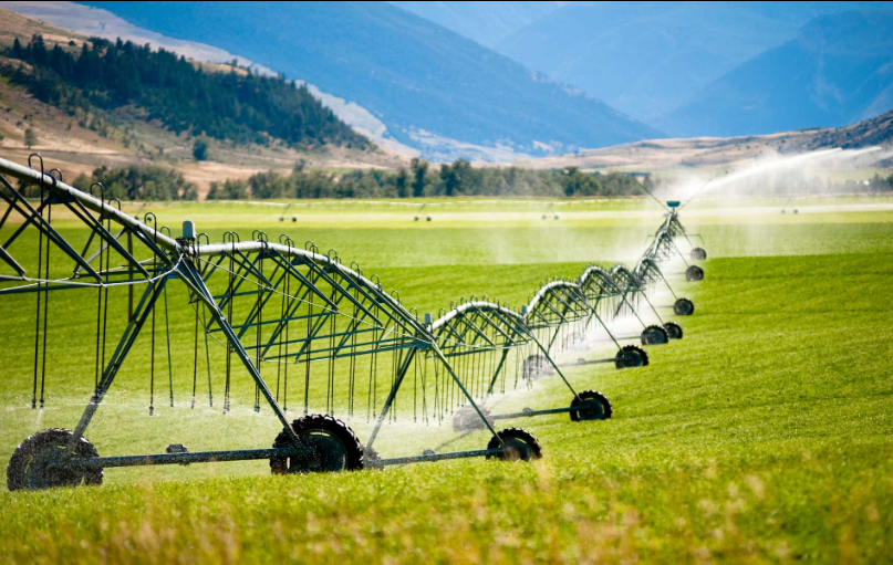 ठिबक सिंचन योजना 2026, धार्मिक सिंचन अनुदान महाराष्ट्र, MahaDBT ठिबक योजने अर्ज, Drip Irrigation Subsidy India, शेतकरी योजना महाराष्ट्र 2026, प्रति थेंब अधिक पिक योजना, सूक्ष्म सिंचन अनुदान माहिती मराठी