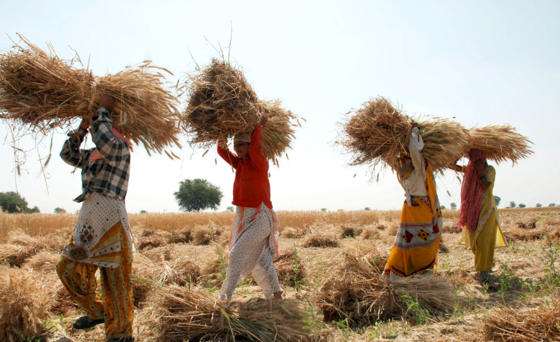 💰 MSP 2026 – सरकारचे निर्णय आणि भाव वाढ