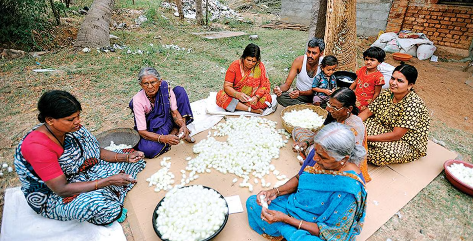 🐛 Reshim Udyog Update 2026: New Cocoon Price, Government Subsidy & Latest News