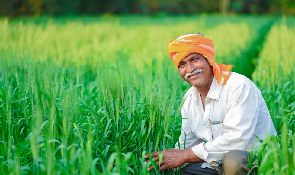 कृषी आधारित उद्योगांसाठी उपक्रम
