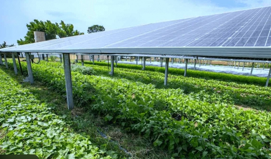 PM KUSUM solar scheme