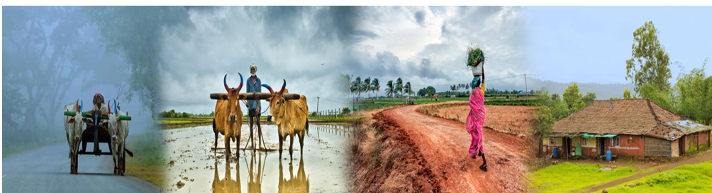 पशुधन विमा ! वारणा दूध संघाचा विमा – आधारावर 1.5 कोटी रुपयांपर्यंतचा लाभ