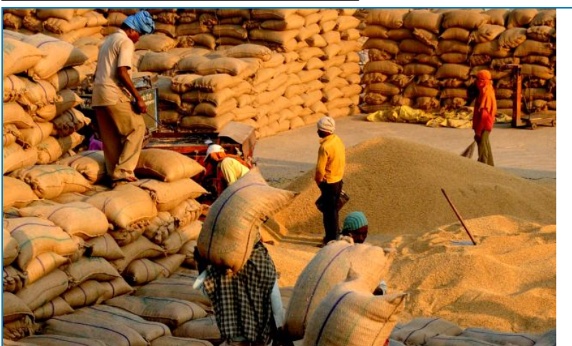 काळी तूर ₹8000 