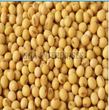 👉 सोयाबीन भाव ₹5000🚨 सोयाबीन शेतकऱ्यांसाठी मोठी खुशखबर! भाव थेट ₹5000 प्रति क्विंटलवर | Soybean Price Big Jump 2026