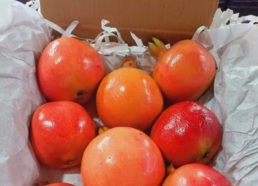 👉 डाळिंब दर ₹150 ते ₹175