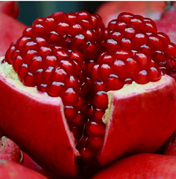 👉 डाळिंब दर ₹150 ते ₹175🍎 डाळिंब शेतकऱ्यांसाठी आनंदाची बातमी! दर थेट ₹150 ते ₹175 प्रति किलो | Pomegranate Price Big Rise 2026