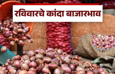 कांदा भाव 2026