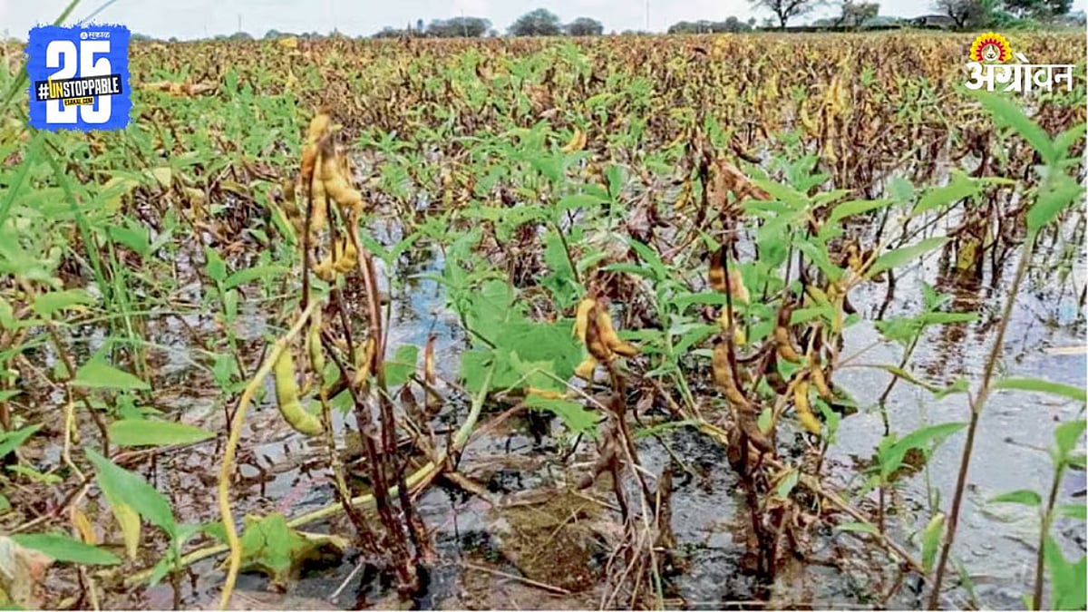 ऑक्टोबरमध्ये झालेल्या नुकसानाची भरपाई जानेवारी 2026 मध्ये मिळणार – शेतकऱ्यांसाठी मोठा दिलासा