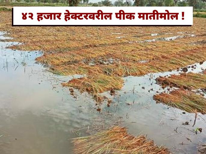 शेतकरी नुकसानभरपाई | शेतकऱ्यांना नुकसानभरपाई मंजूर | कंपनीकडून भरपाई निर्णय 2026 मोठी बातमी